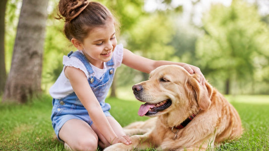 How to Teach Kids to Be Kind to Animals: 7 Steps